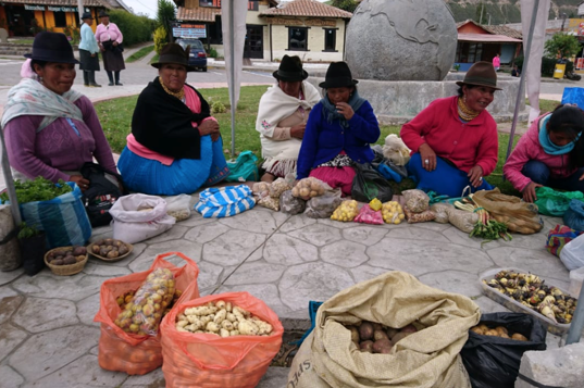 Ecuador-02